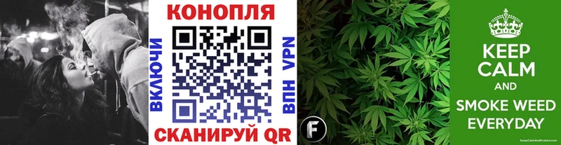 Где купить Бабаево ГАШИШ Галлюциногенные грибы КОКАИН СК Меф мяу мяу Канабис