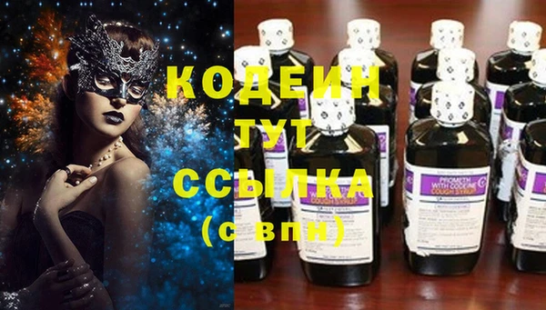 прущие грибы Алзамай